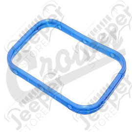 Intake Manifold Seal