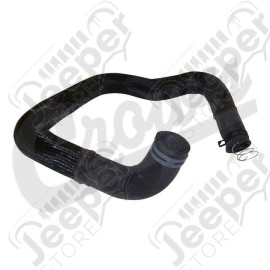 Radiator Hose (Lower-Outlet)