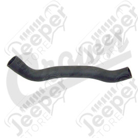 Radiator Hose (Lower-Outlet)