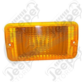 Parking Lamp (Front Left)