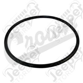 Fuel Module O-Ring