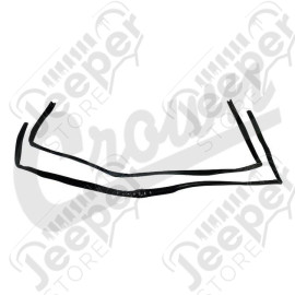 Door Glass Seal Kit