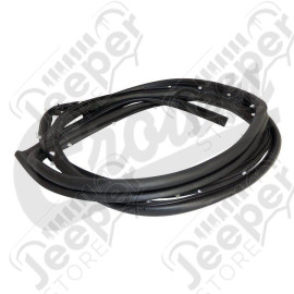 Door Weatherstrip (Rear Right)
