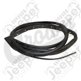 Door Weatherstrip (Rear Left)