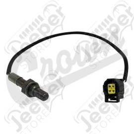 Oxygen Sensor