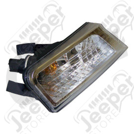 Park & Turn Signal Light (Right)