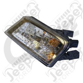 Park & Turn Signal Light (Left)