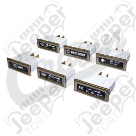 Dashboard Lamp Kit