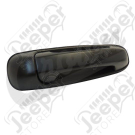 Door Handle (Rear Right)