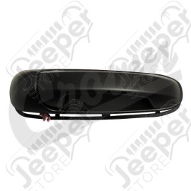 Door Handle (Rear Left)