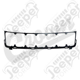 Grille Surround
