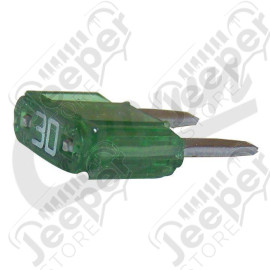 MINI Fuse, 30 Amp