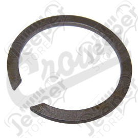 Snap Ring