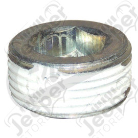 Transfer Case Plug