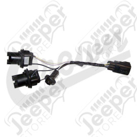 Tail Light Wiring (Europe)