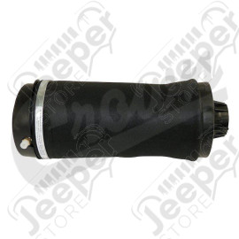 Air Suspension Spring Assy (Rear)