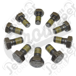 Ring Gear Bolt Kit