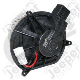 Blower Motor