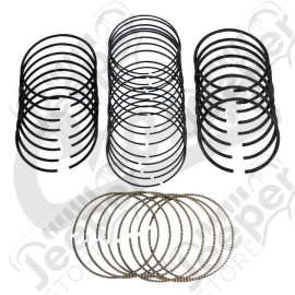 Piston Ring Set (Standard)