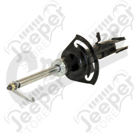 Suspension Strut (Front Right)