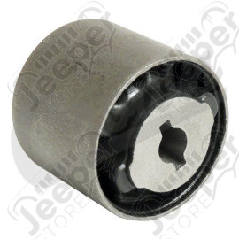 Differential Mount (Rear)