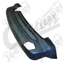 Fascia (Rear Lower)