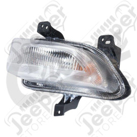 Parking Light (Left)