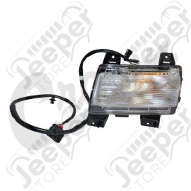 Parking Light (Front Left)