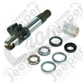 Steering Gear Repair Kit