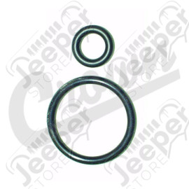 Fuel Injector O-Ring Kit