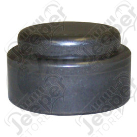 Input Pilot Bearing