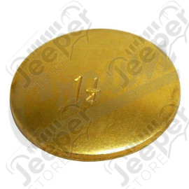 Expansion Plug (1.25-inch)