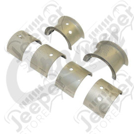 Crankshaft Main Bearing Set (.040)
