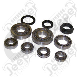Bearing and Seal Kit (BA10)