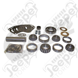 Dana 300 Bearing Kit