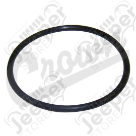 Fuel Sending Unit O-Ring