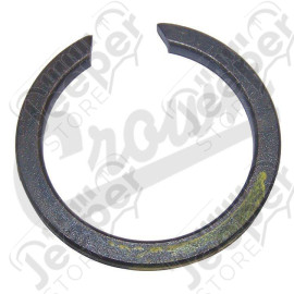 Snap Ring