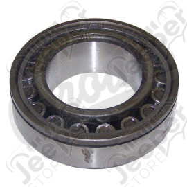 Differential Bearing Assembly
