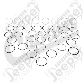 Ring Set (Std - 5.9L)
