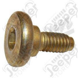 Brake Caliper Screw (Front)