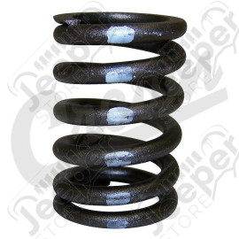 Valve Spring