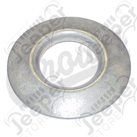 Differential Pinion Washer