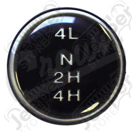 Shift Knob Insert