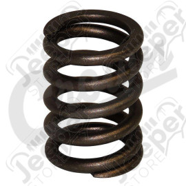 Valve Spring