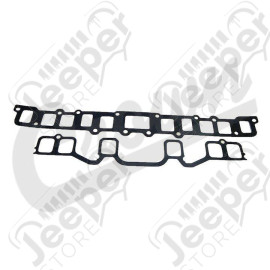 Manifold Gasket