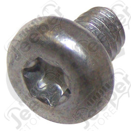 Torx Head Screw
