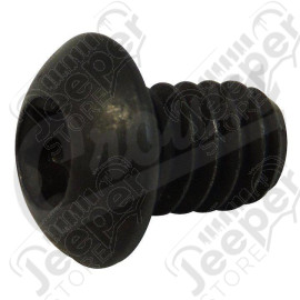 Torx Head Screw (Black)