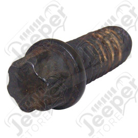 Steering Gear Bolt