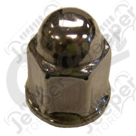 Lug Nut (Stainless)