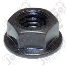 Flange Nut